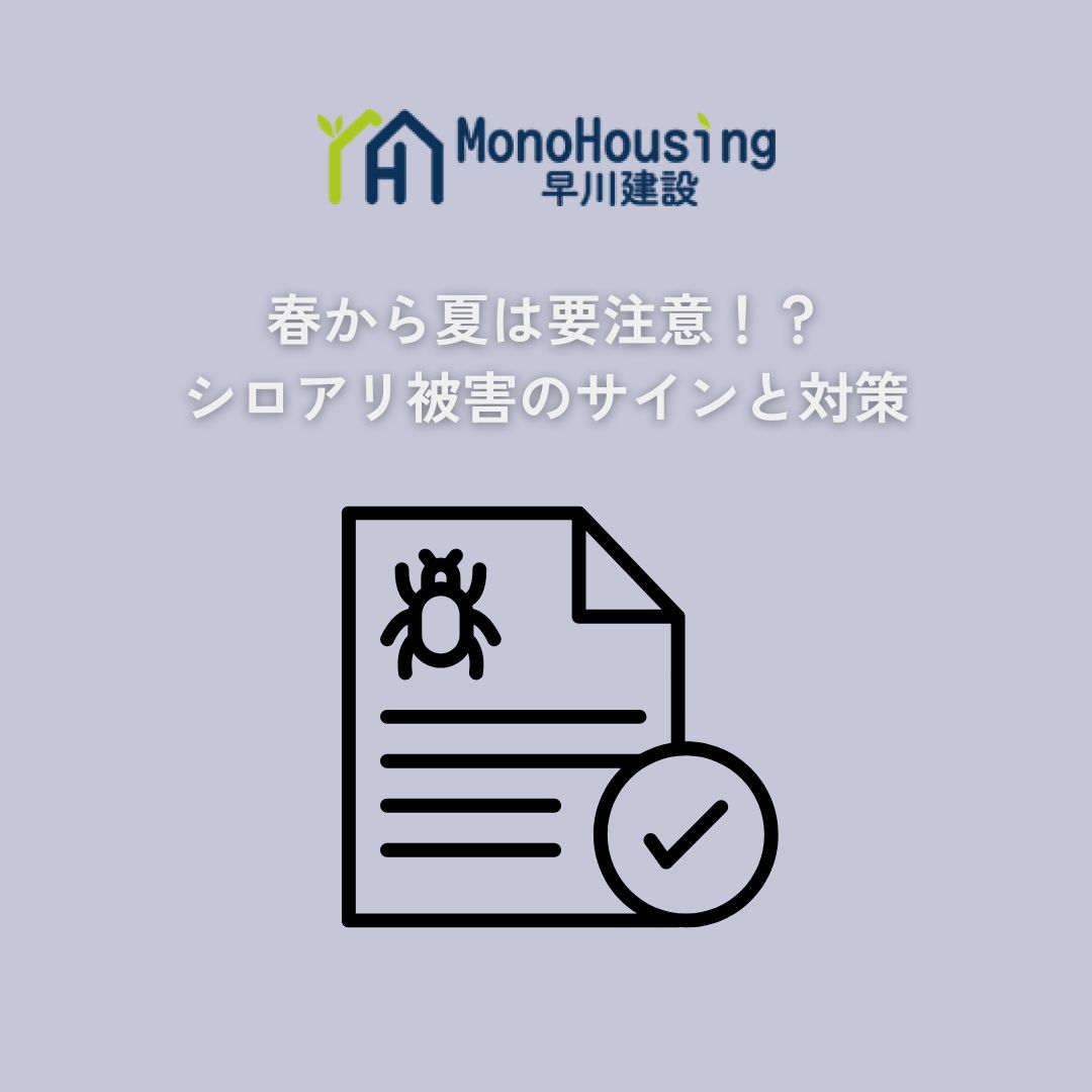ブログメイン画像