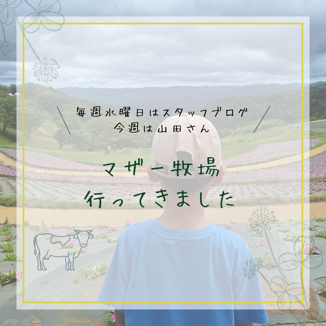 ブログサムネイル画像