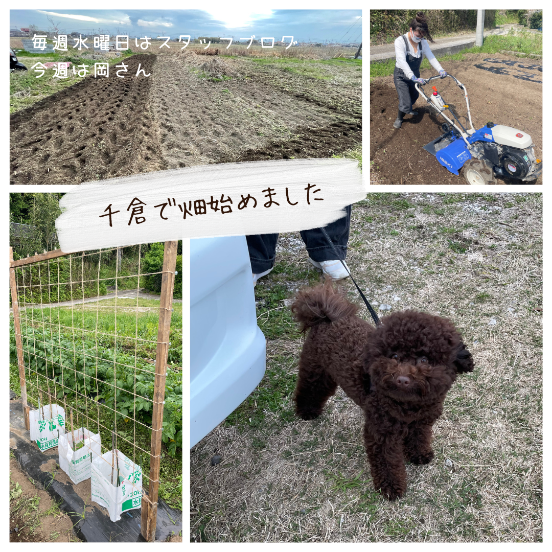 ブログサムネイル画像