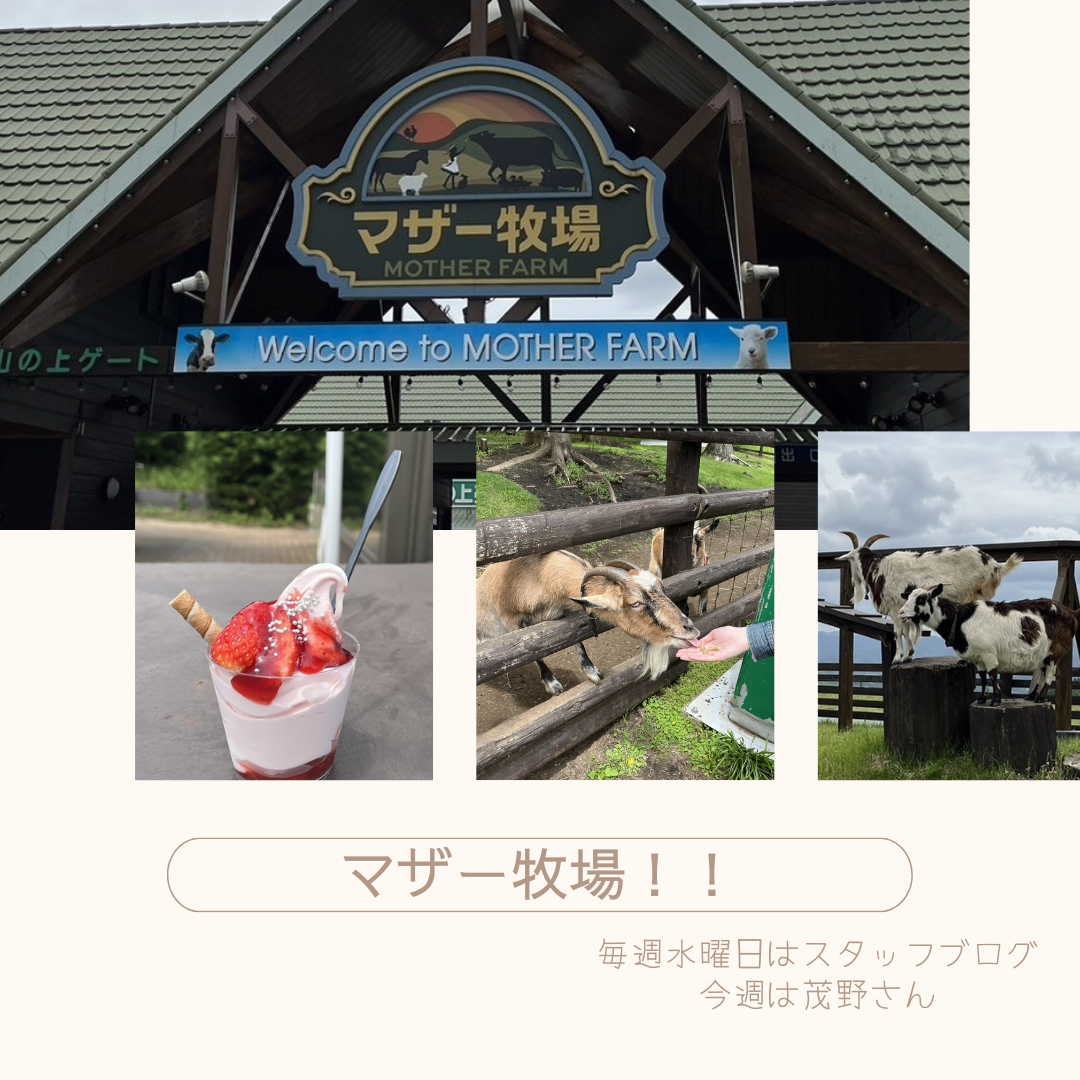 ブログサムネイル画像