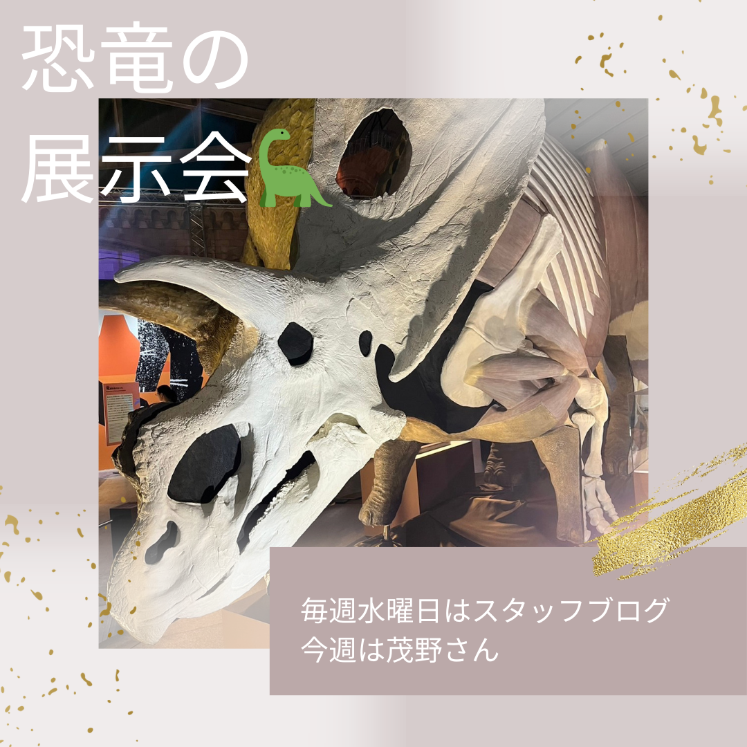 ブログメイン画像