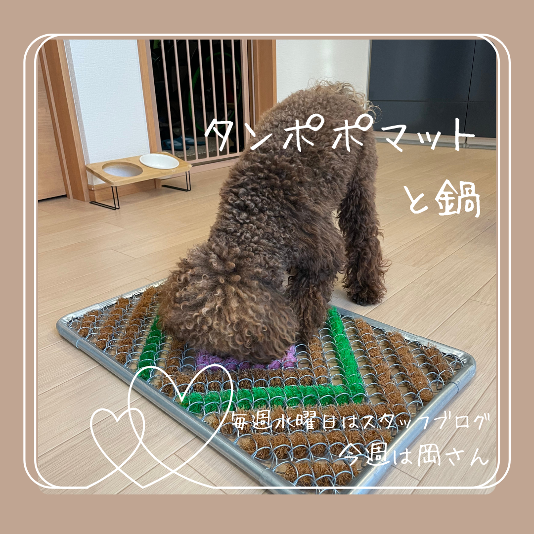 ブログメイン画像
