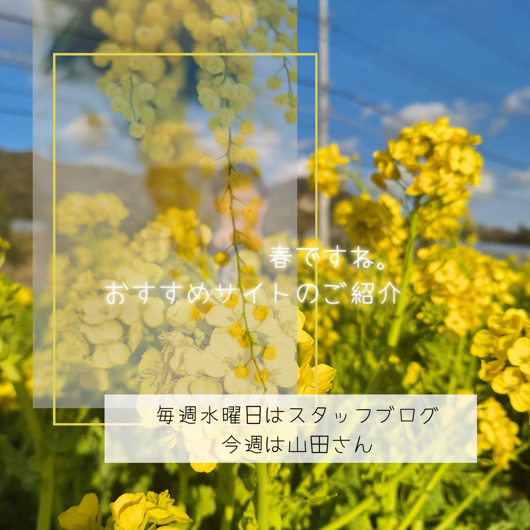 ブログメイン画像