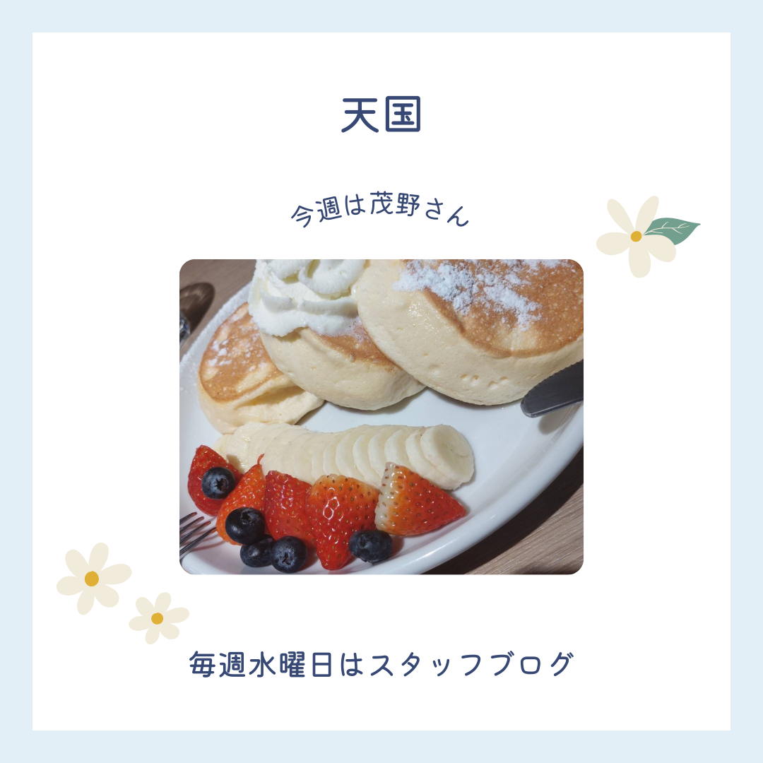 ブログメイン画像