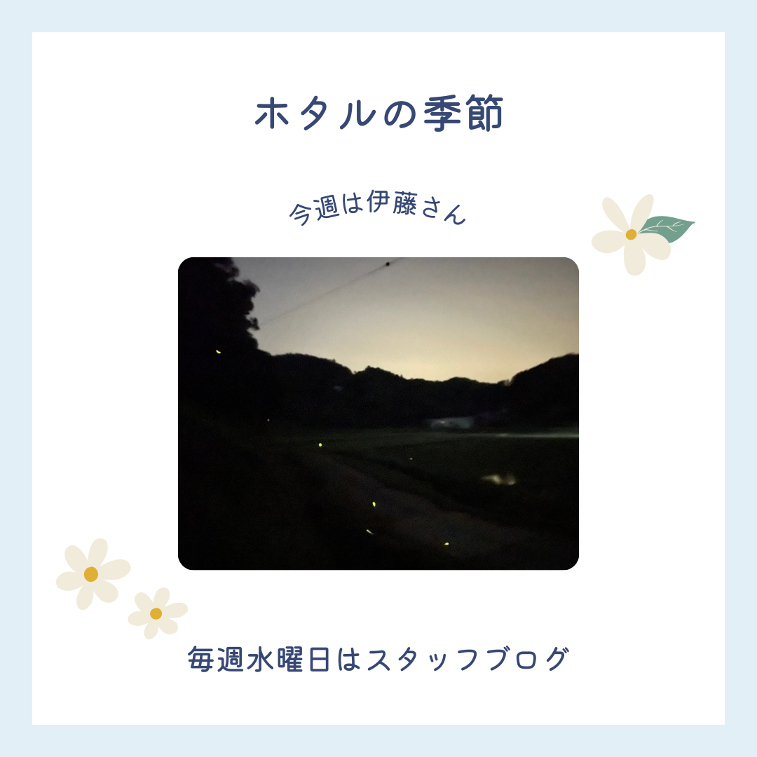 ブログメイン画像