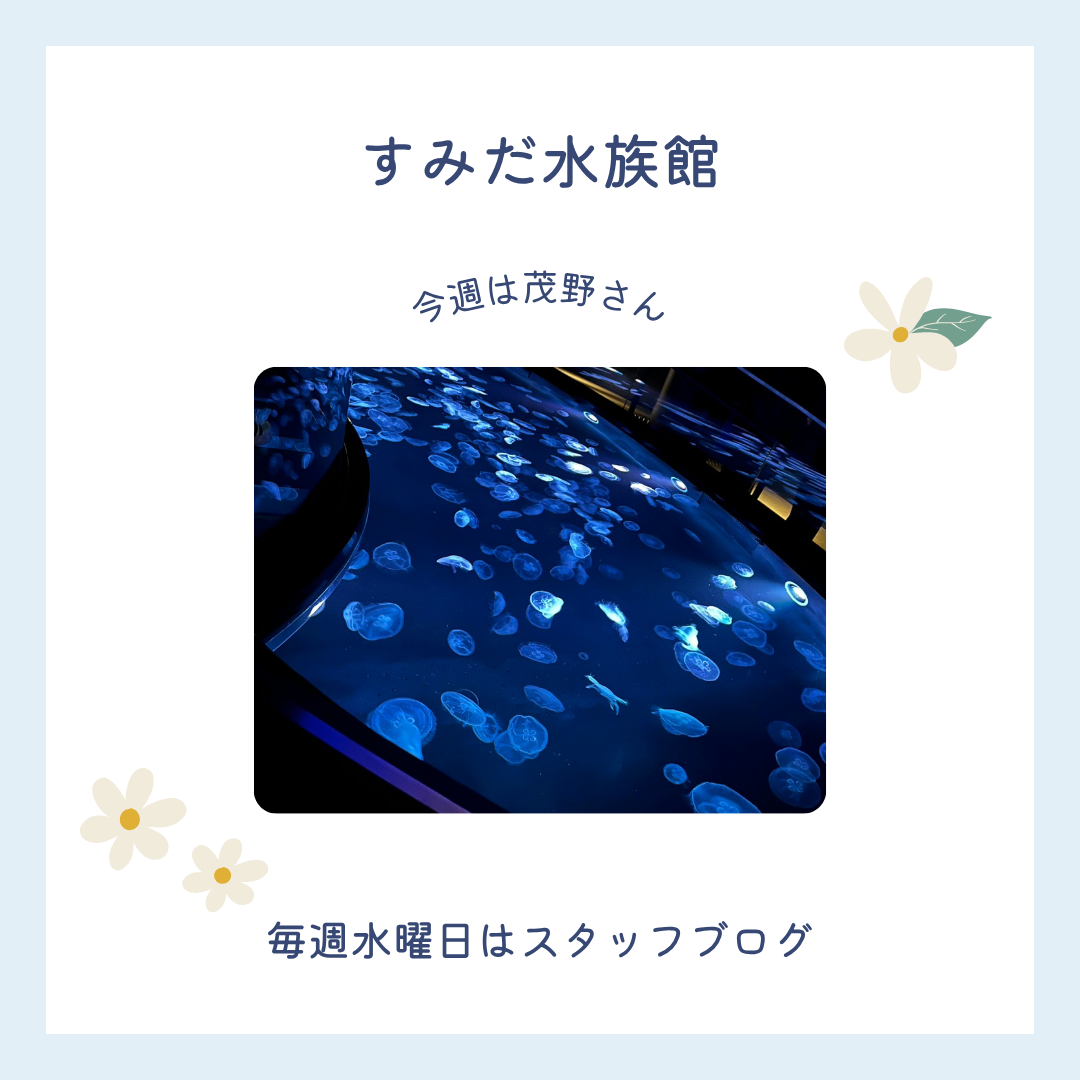 ブログメイン画像