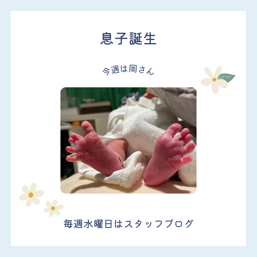 ブログメイン画像