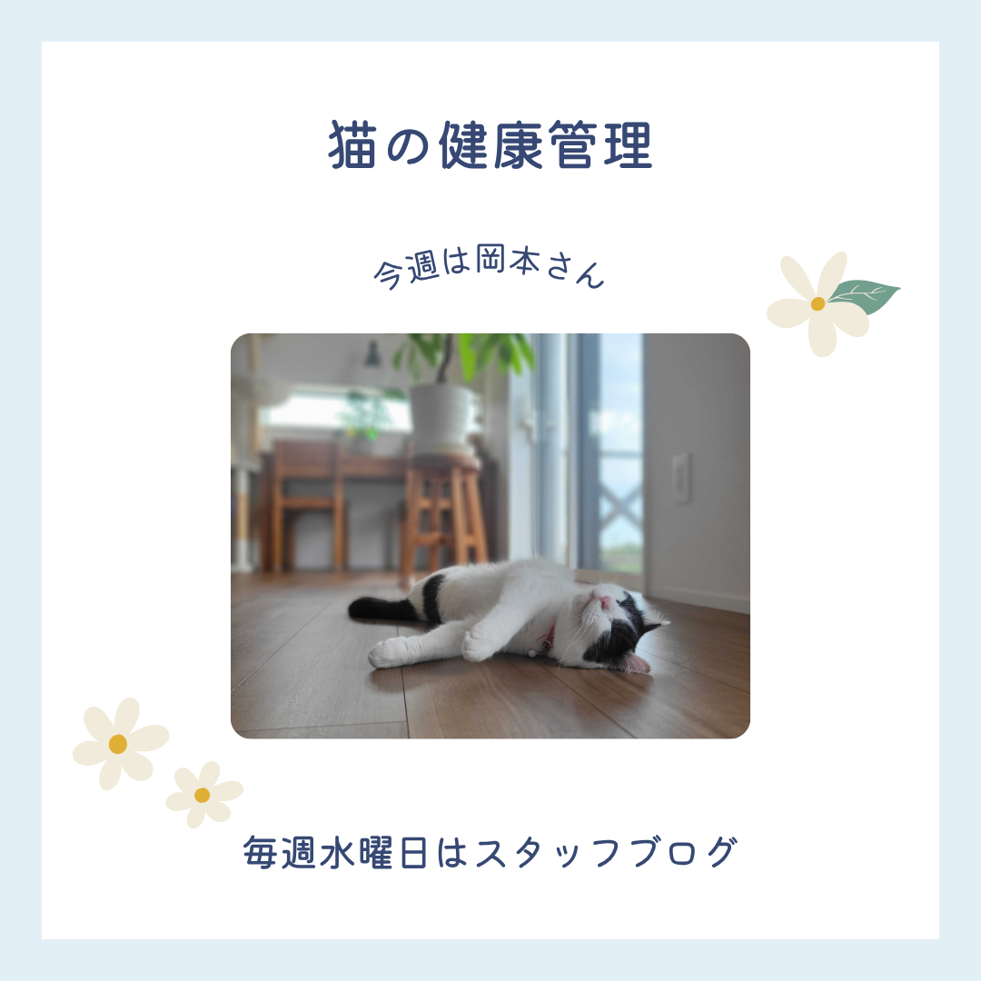 ブログメイン画像
