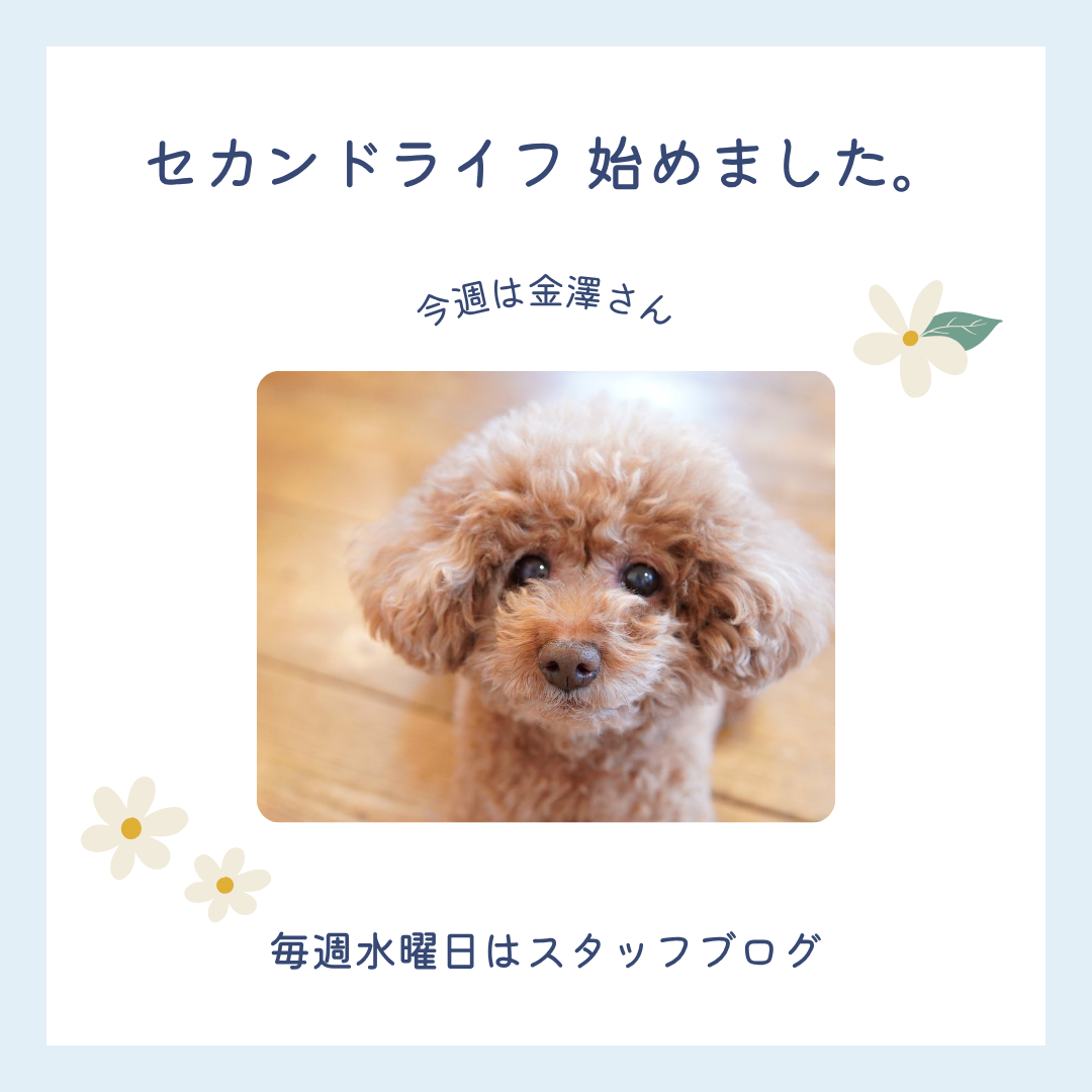 ブログメイン画像