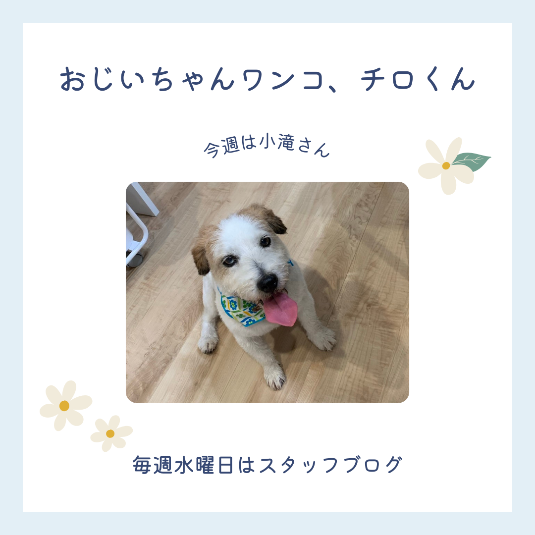 ブログサムネイル画像