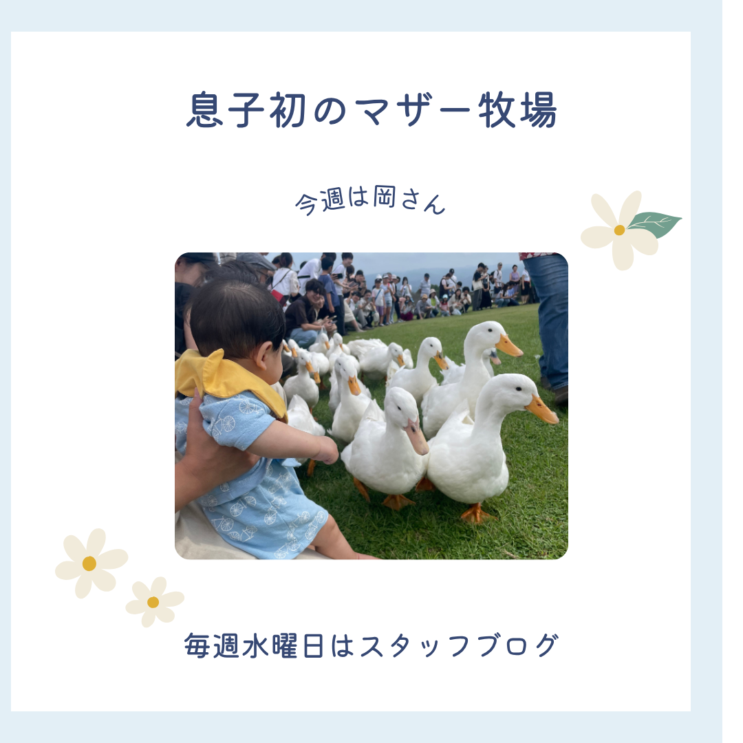 ブログメイン画像