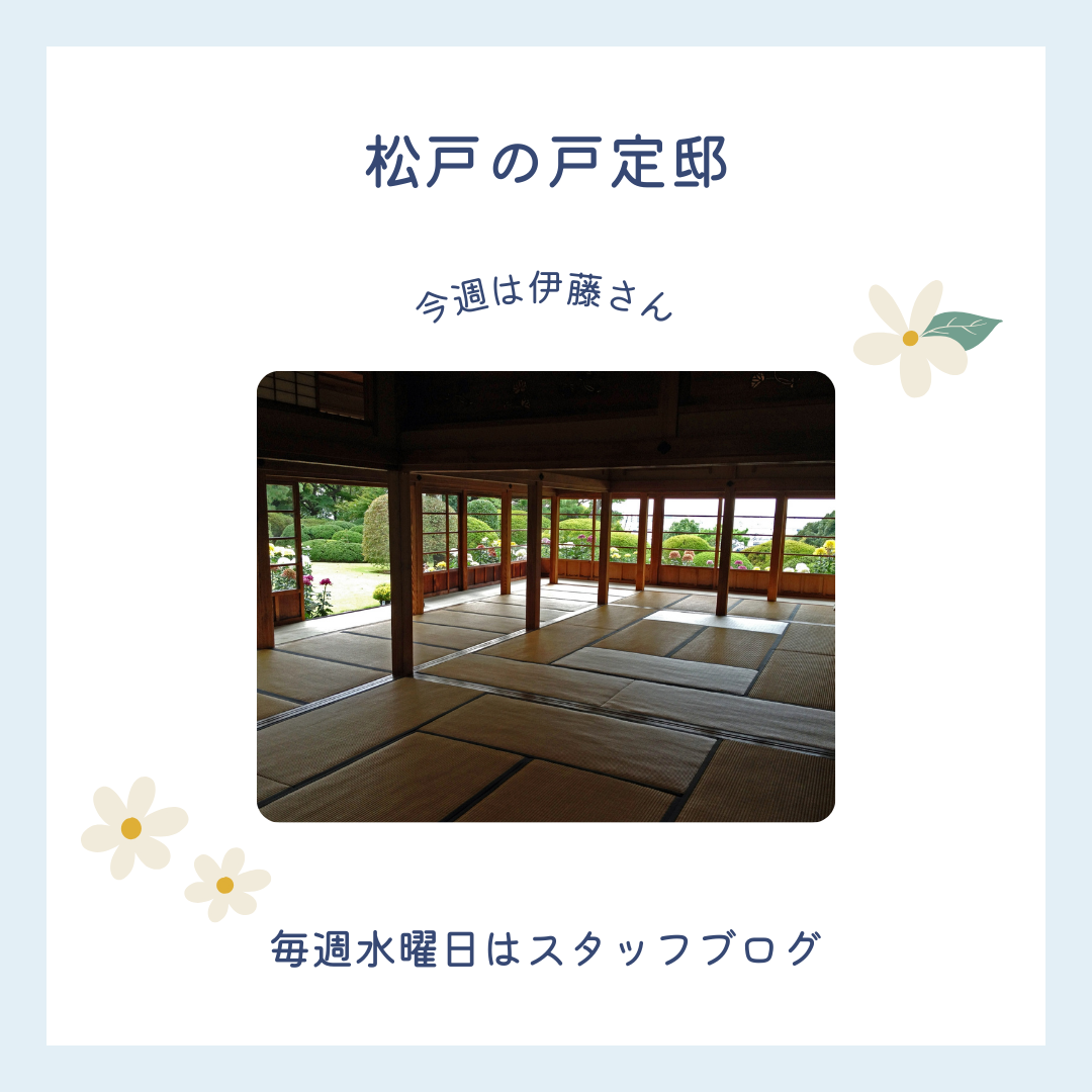 ブログメイン画像