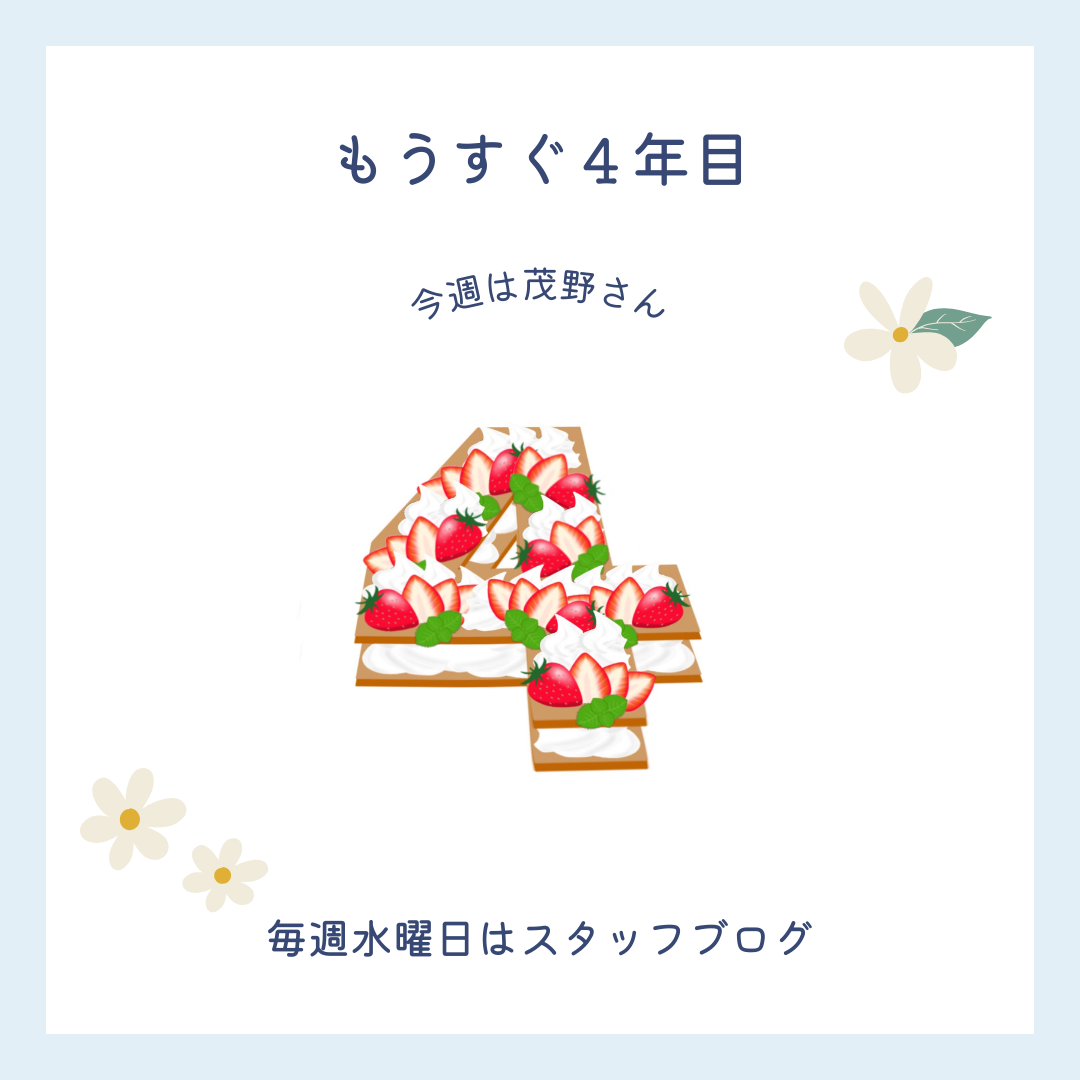 ブログメイン画像