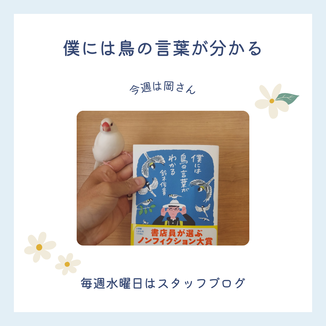 ブログメイン画像