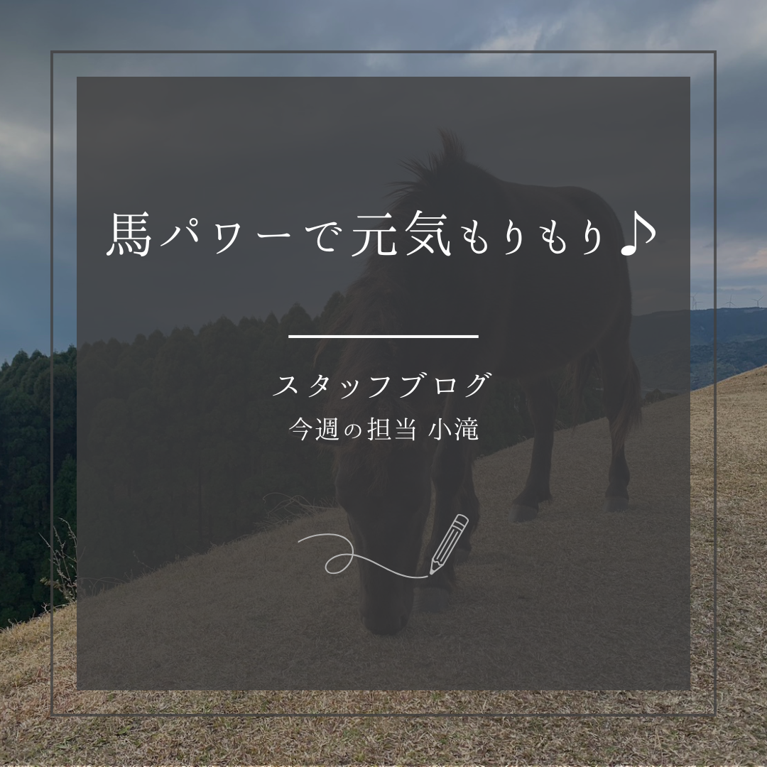 ブログメイン画像