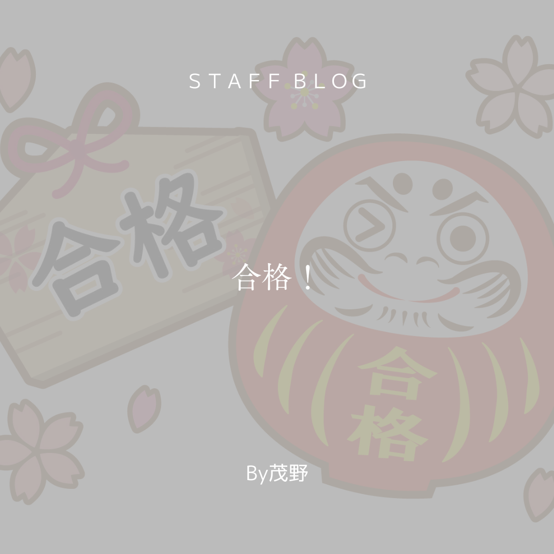 ブログメイン画像