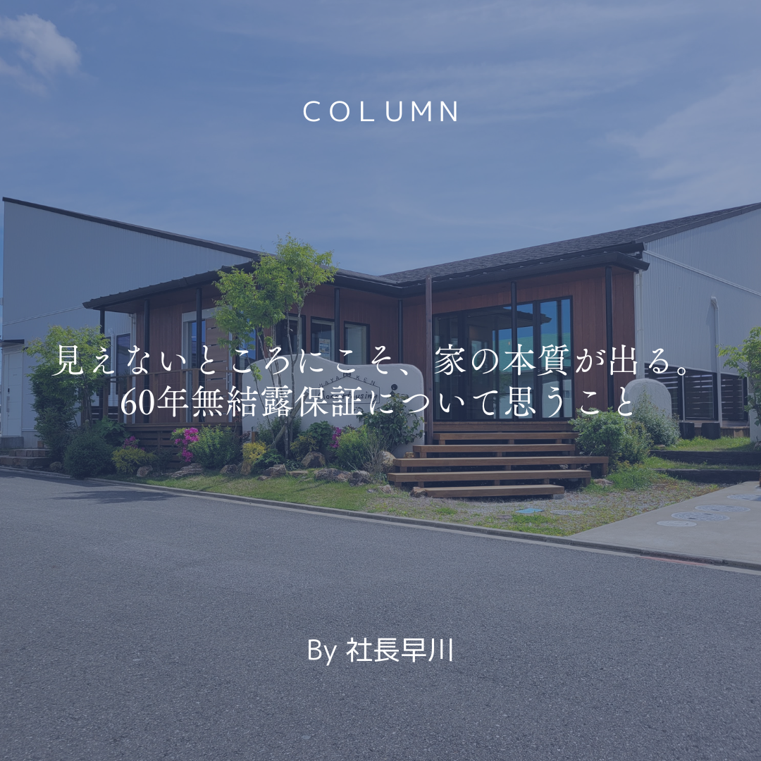 ブログメイン画像